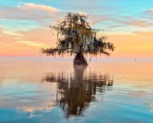 Lake Maurepas in Pastels | Obraz na stenu