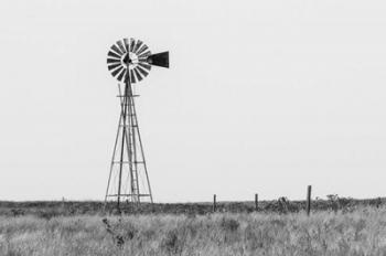 Colorado Windmill | Obraz na stenu