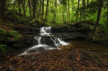 Logans Falls | Obraz na stenu