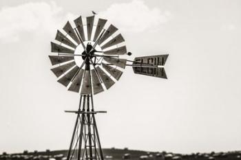 Bird on a Windmill | Obraz na stenu