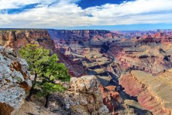 Standing on Navajo Point-Grand Canyon National Park | Obraz na stenu
