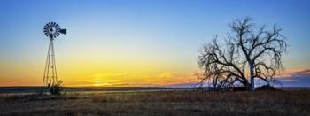 Sand Hills Sunrise | Obraz na stenu