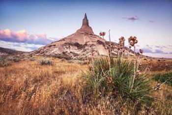 Chimney Rock Sunrise | Obraz na stenu