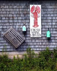 Fresh Maine Lobster | Obraz na stenu