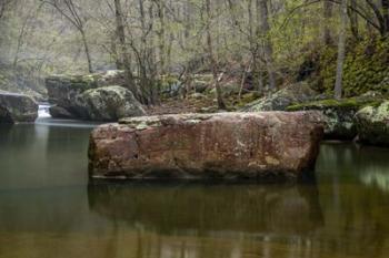 Richland Creek Tranquility | Obraz na stenu