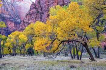 Autumn at the Grotto | Obraz na stenu