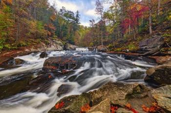 Autumn Below Baby Falls.tif | Obraz na stenu