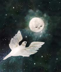 Dove and Moon | Obraz na stenu