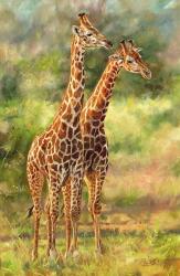 Giraffe Love | Obraz na stenu