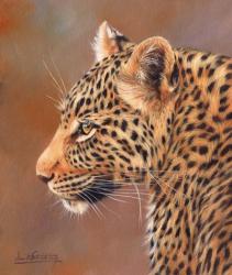 Leopard Looking Left | Obraz na stenu