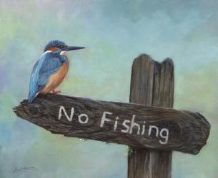 Kingfisher No Fishing | Obraz na stenu