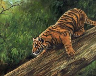 Tiger In Tree | Obraz na stenu