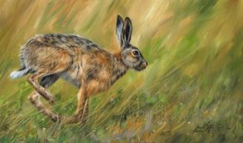 Hare Running | Obraz na stenu