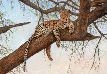 Leopard In Tree | Obraz na stenu