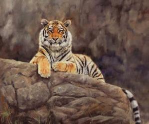 Amur Tiger On The Rocks | Obraz na stenu