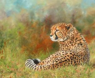 Cheetah Grass | Obraz na stenu