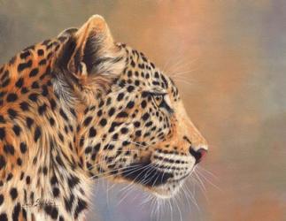 Leopard Profile | Obraz na stenu