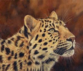 Leopard Portrait Looking Up Right | Obraz na stenu