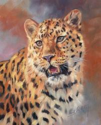 Leopard Gaze | Obraz na stenu