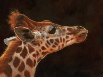 Giraffe Portrait | Obraz na stenu