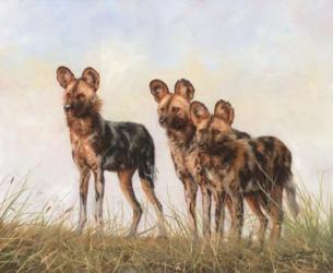 3 African Wild Dogs | Obraz na stenu