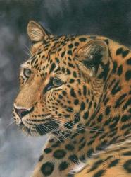 Leopard Portrait 2 | Obraz na stenu