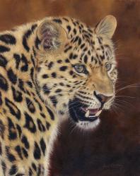 Leopard Growl | Obraz na stenu