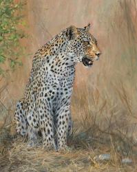 Leopard | Obraz na stenu
