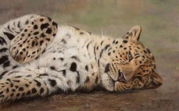 Resting Leopard | Obraz na stenu