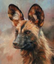 Africa Wild Dog | Obraz na stenu