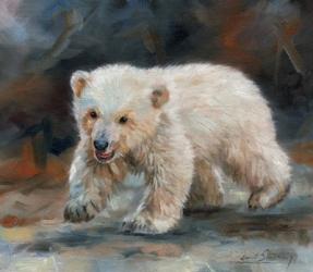 Polar Bear | Obraz na stenu