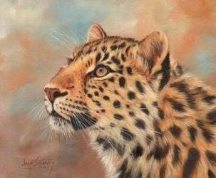Leopard Study 3 | Obraz na stenu