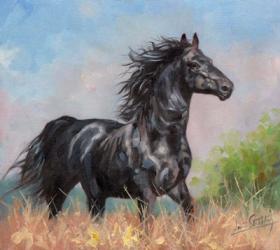 Black Horse | Obraz na stenu