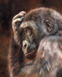 Gorilla Contemplating | Obraz na stenu