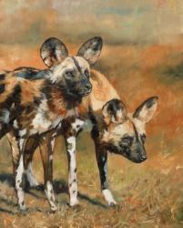 African Wild Dogs | Obraz na stenu