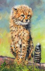 Baby Cheetah Awakens! | Obraz na stenu