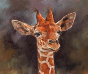 Giraffe | Obraz na stenu