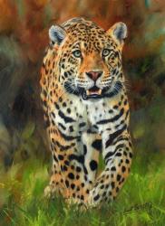 Jaguar Walk | Obraz na stenu