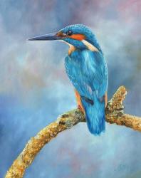 Kingfisher Brilliant Blue | Obraz na stenu