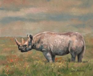 Black Rhino | Obraz na stenu