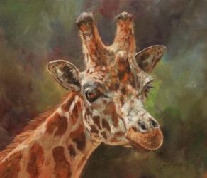 Giraffe Portrait 2 | Obraz na stenu