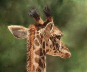 Giraffe From Behind | Obraz na stenu