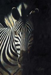 Zebra Fade To Black | Obraz na stenu