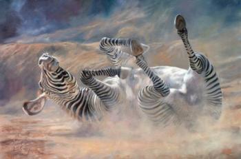 Zebra Rockin And Rollin | Obraz na stenu