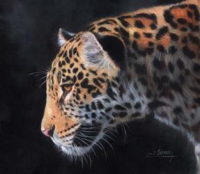 Jaguar Portrait | Obraz na stenu