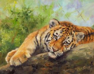 Tiger Cub Rock | Obraz na stenu