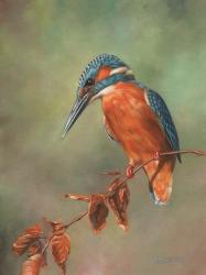 Kingfisher Perched | Obraz na stenu