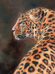 Leopard Profile From Back | Obraz na stenu