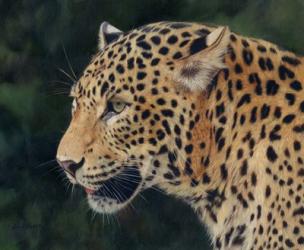 Leopard Head Side | Obraz na stenu