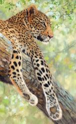 Leopard Tree | Obraz na stenu